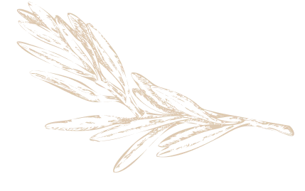 Doodle Image 1