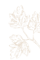 Doodle Image 1