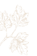 Doodle Image 1
