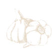 hero_vector2
