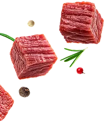 Doodle Image 1